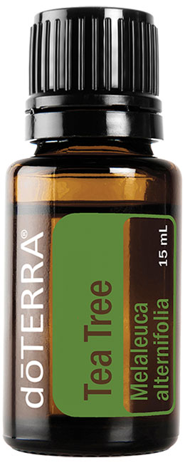 Tea Tree Essential Oil