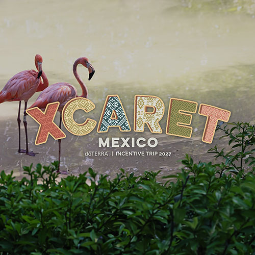 2027 Incentive Trip - Child Ticket (ages 6-17)