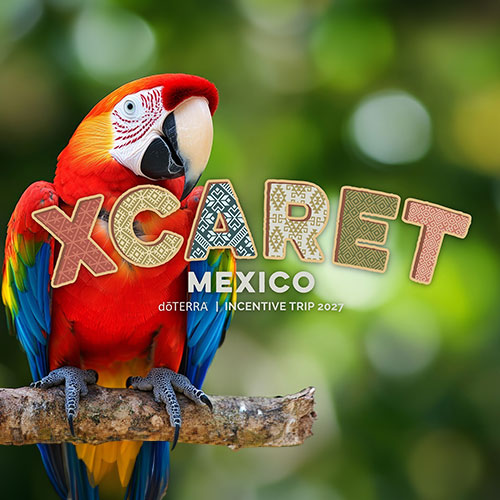 2027 Incentive Trip - Additional Adult Ticket