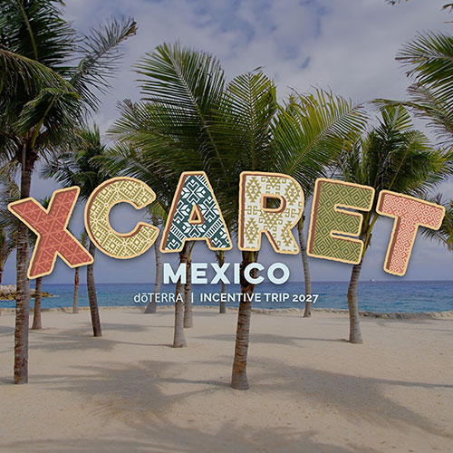 2027 Incentive Trip - 1 Adult Ticket