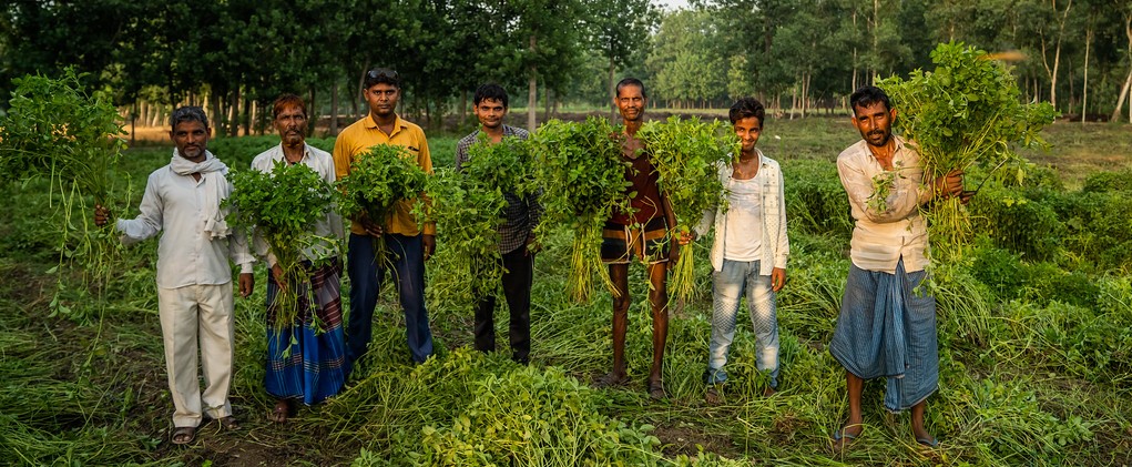 India Farmers