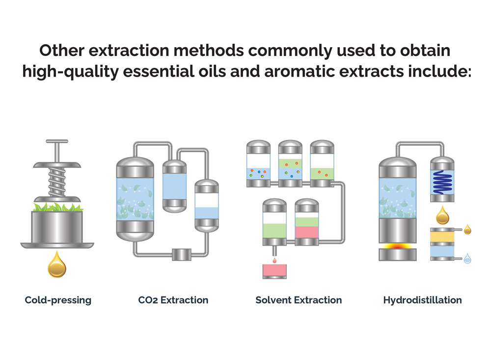 Other extraction methods commonly used to obtain higher quality essential oils and aromatic extracts include cold-pressing, CO2 extraction, solvent extraction, and hydrodistillation