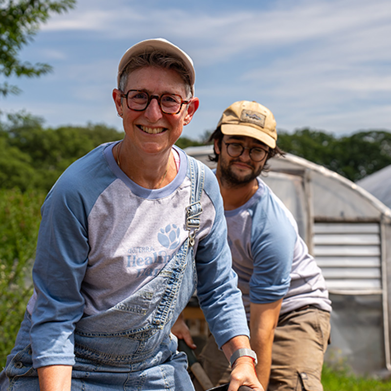 Volunteers working in a yard