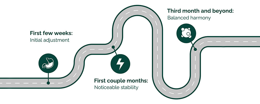 A diagram showing the different stages of a road