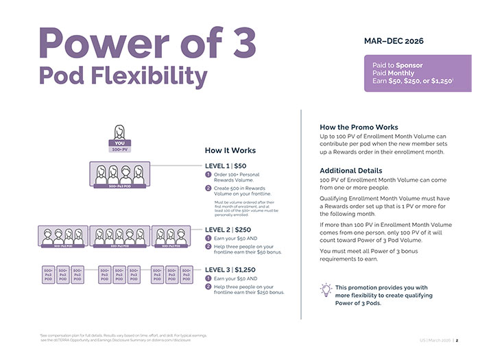 Power of 3 one-page flyer