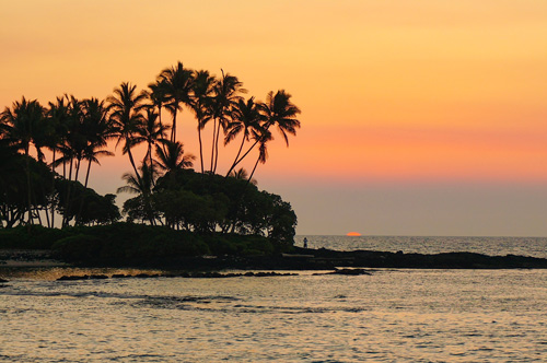 Hawaiian Shoreline