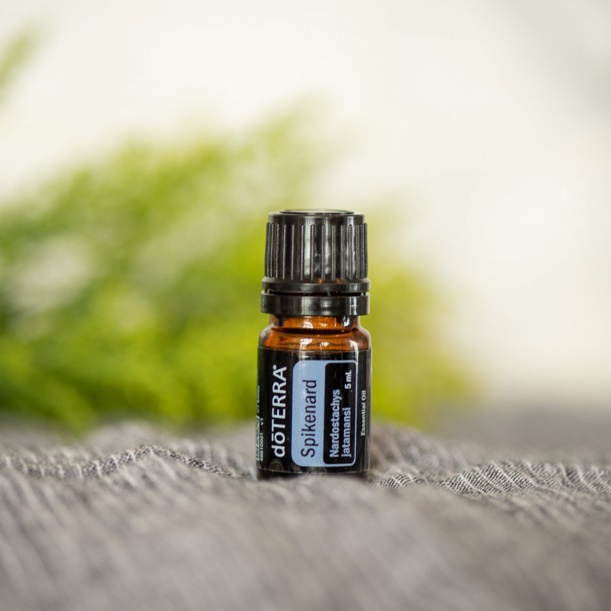 Bottle of doTERRA Spikenard essential oil with green leaves in the background. What are the benefits of Spikenard oil? Spikenard essential oil has benefits for the skin, and a tranquil aroma that can create a grounding environment.