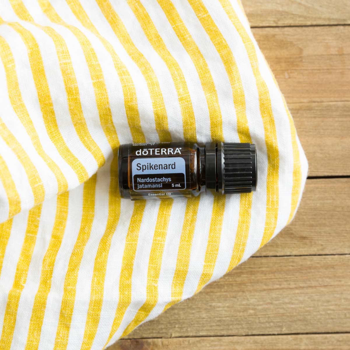 Bottle of Spikenard essential oil resting on a striped yellow dish cloth. What does Spikenard oil smell like? Spikenard essential oil smells woody, spicy, and musty, and is known to be a grounding essential oil.