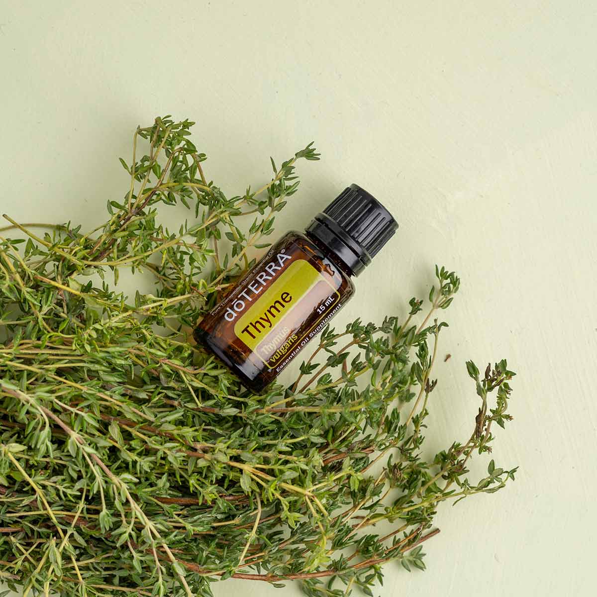 Bottle of Thyme essential oil next to fresh thyme sprigs. What does Thyme oil smell like? Thyme essential oil has a warm, herbaceous aroma that is extremely potent.