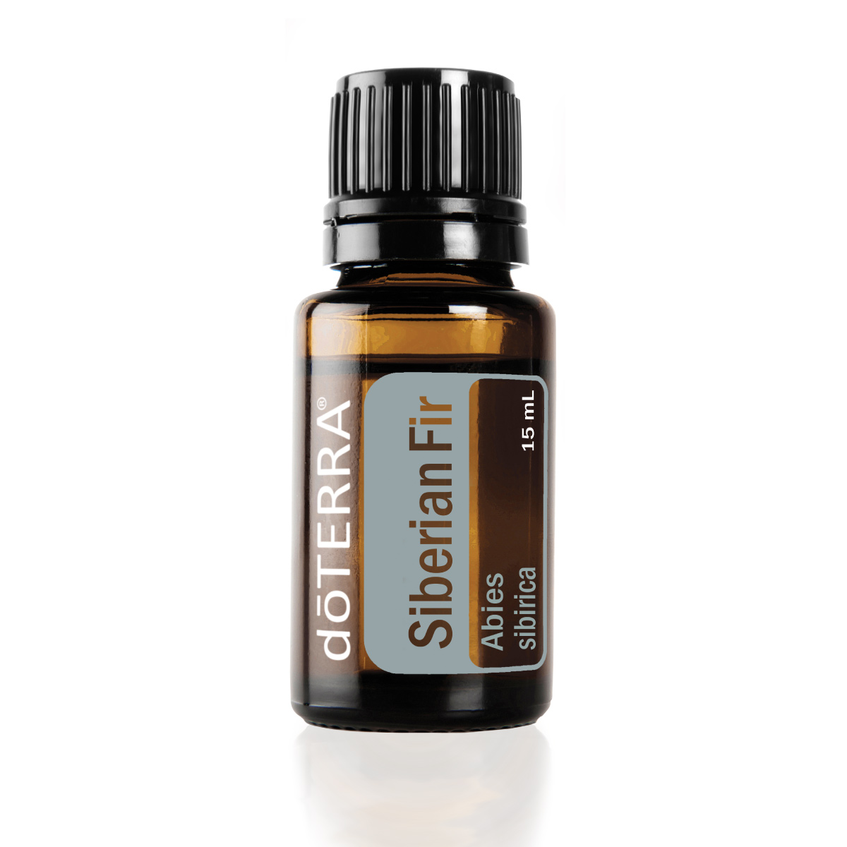 Bottle of Siberian Fir essential oil. What is Siberian Fir oil used for? Siberian Fir oil can be used on the skin, during massage, or to create a calming atmosphere.