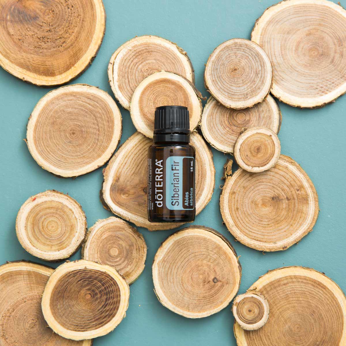 Bottle of doTERRA Siberian Fir essential oil surrounded by slabs of wood. What oil blends well with Siberian Fir oil? Siberian Fir oil blends well with citrus essentail oils like Wild Orange and Grapefruit oil.