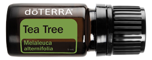 doTERRA Tea Tree essential oil comes in the Healthy Start kit