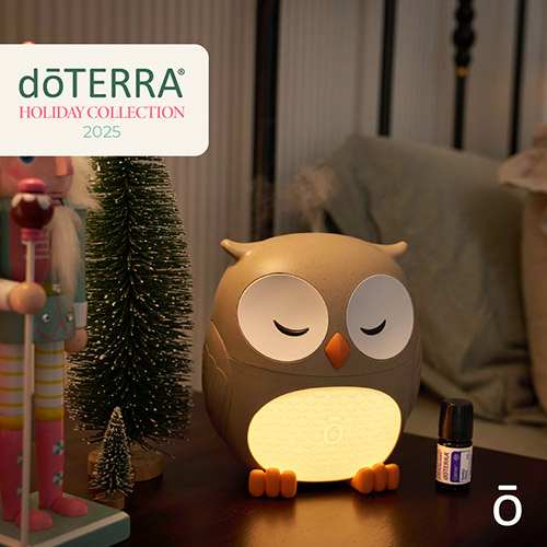 Owl Diffuser