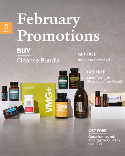 February Promotions