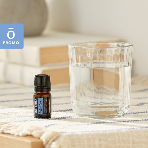 DigestZen Essential Oil Blend