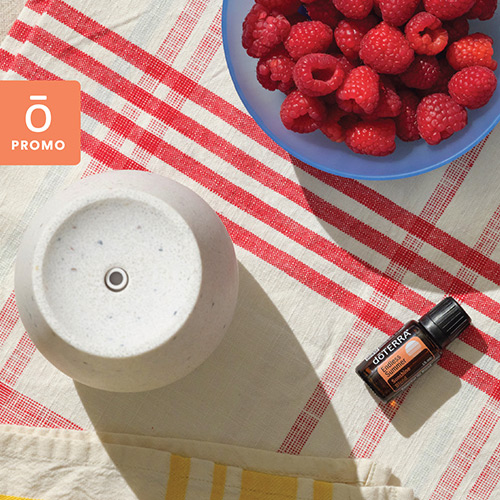 Endless Summer essential oil and Roam Diffuser