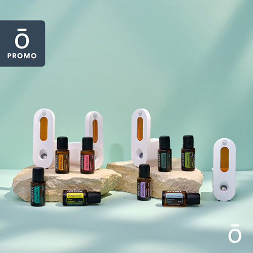 Re-scent your home bundles