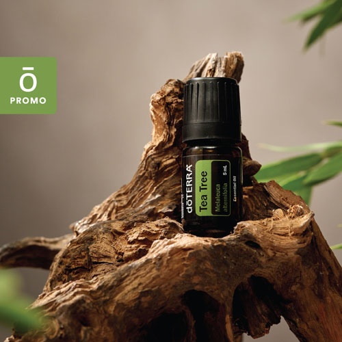 Tea Tree Essential Oil