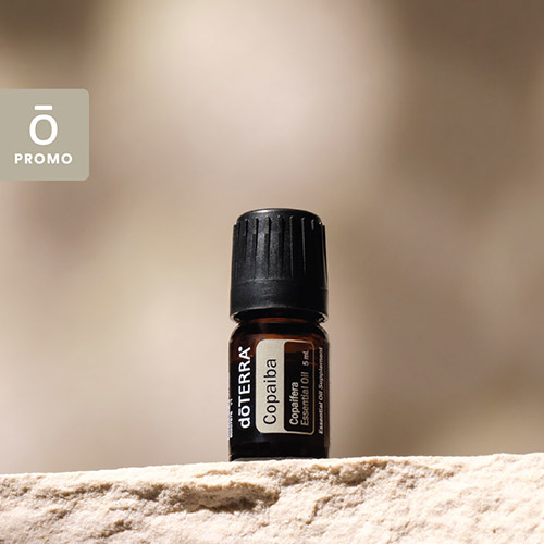 Copaiba Essential Oil