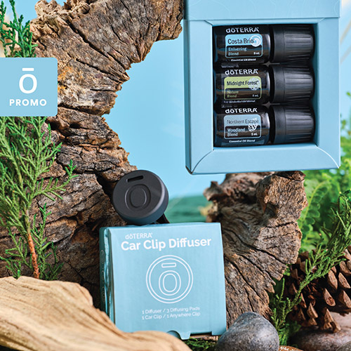 Costa Brio, Midnight Forest, and Northern Escape Essential Oils with the Car Clip Diffuser