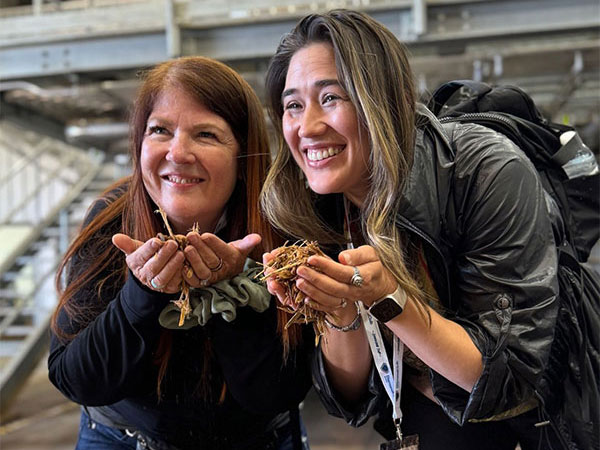 Birch trees on the sourcing trip
